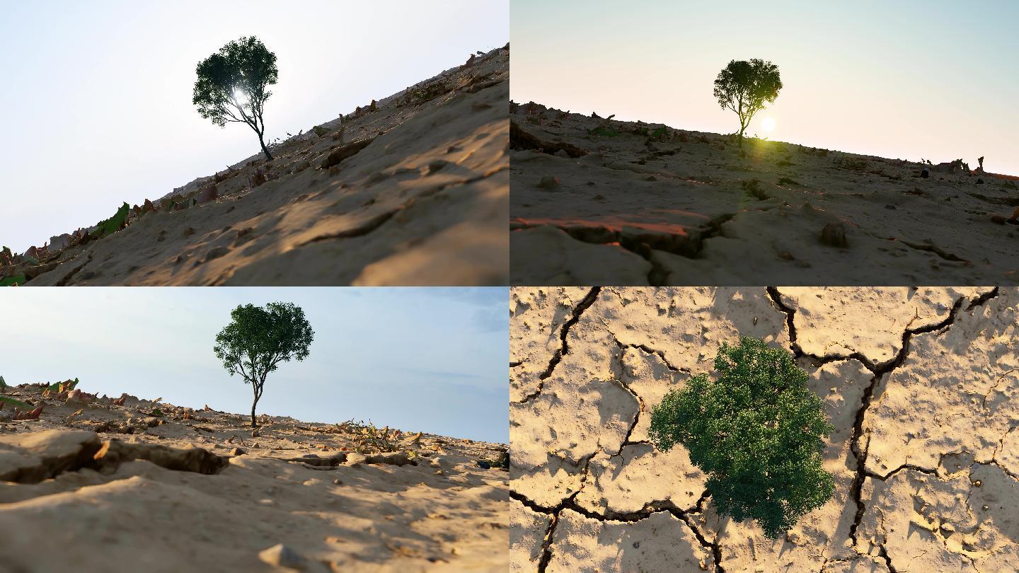 4K创意环保水土流失生命之树合集