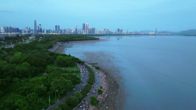 深圳红树林海滨公园