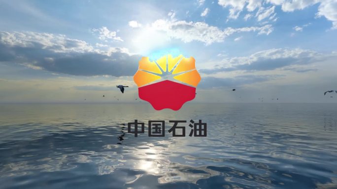 实景logo展示大海蓝天鸟片头（无插件）