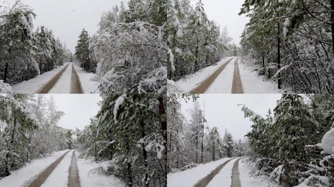 大兴安岭林区森林雪路