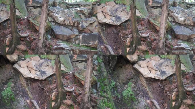 石头假山青苔中式园林造景遗址公园 (1)