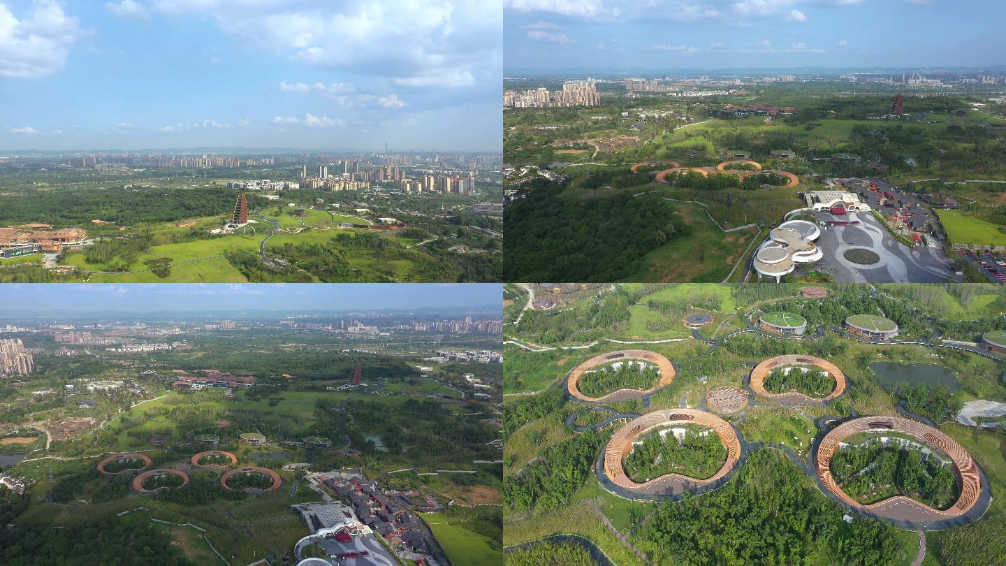 成都大熊猫基地4k航拍合集