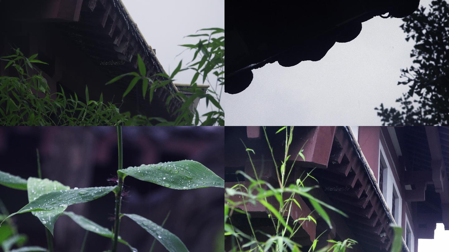 沂南风光 雨中的博物馆古建筑