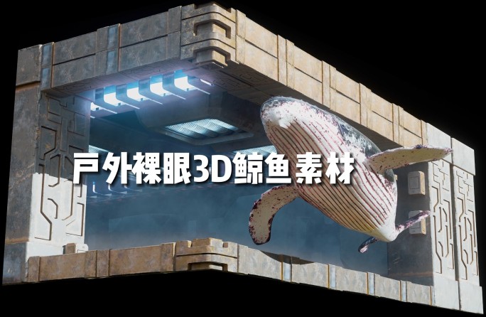 虚影幻实户外裸眼3D巨物鲸鱼8K素材
