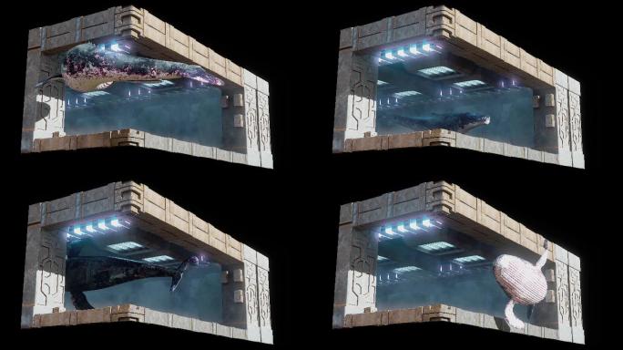 虚影幻实户外裸眼3D巨物鲸鱼8K素材