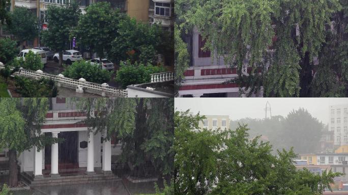 风雨中的建筑与银杏树