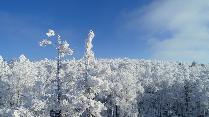 航拍林海雪原山林雾凇