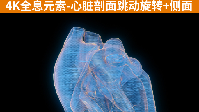 18元全息科技元素心脏剖面跳动动画带通道