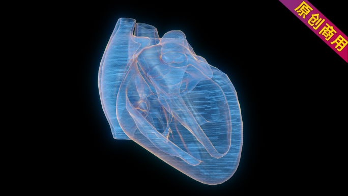 18元全息科技元素心脏剖面跳动动画带通道