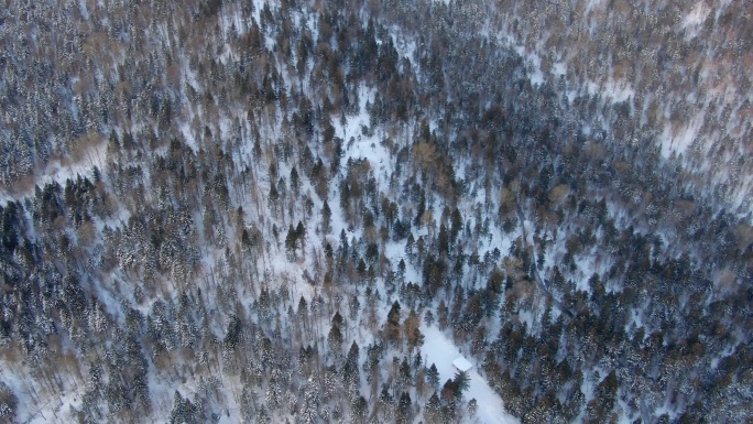 航拍中国雪乡原始森林冬天冰封风光