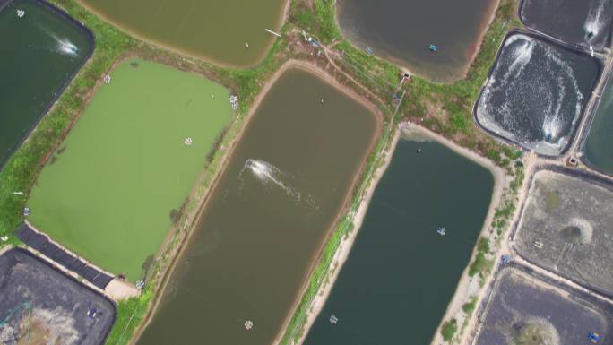 无人机高空运镜航拍壮观的水产养殖