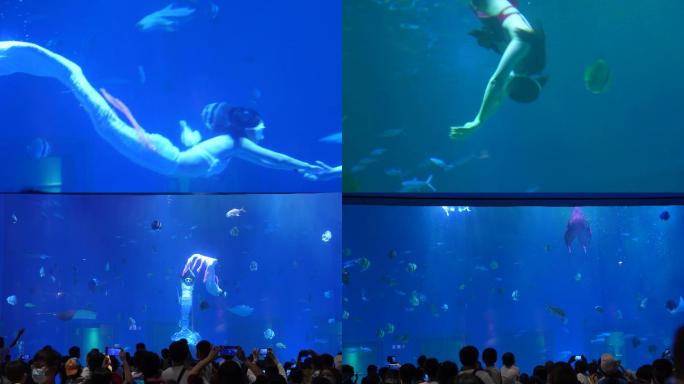 美人鱼表演演出海洋馆海底世界