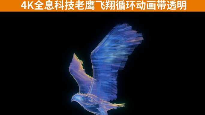 4K全息科技老鹰飞翔循环动画带透明通道