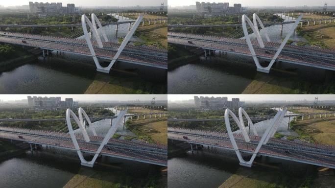 西咸新区沣东新城镐京大桥发展沣东生态6