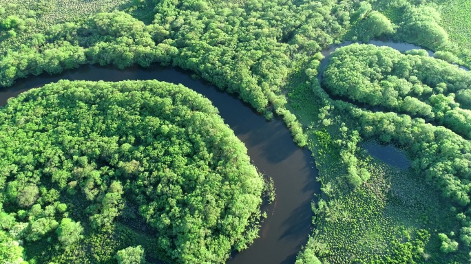 航拍原野丛林河湾