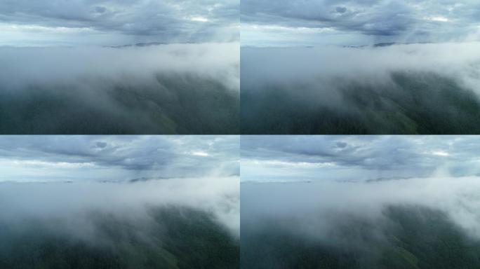 航拍山林云雾