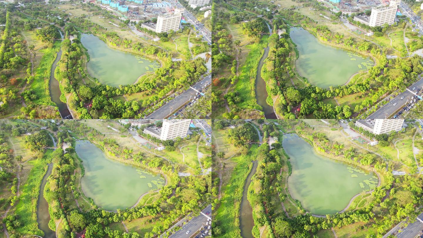 航拍深圳城市中心公园