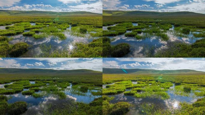 【4k】阿坝州高原湿地