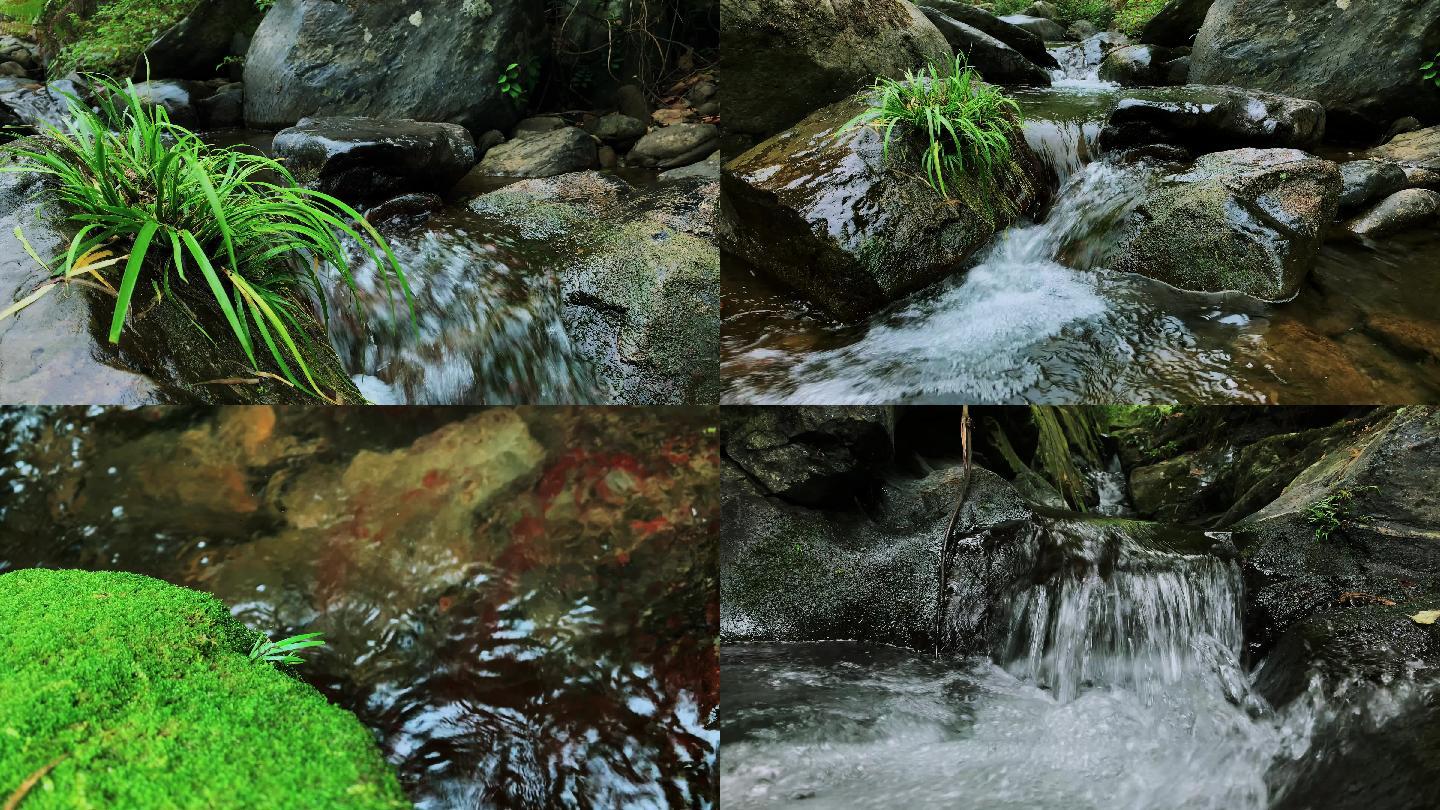 雨后的清澈小溪