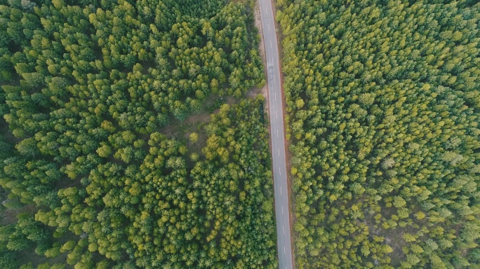 航拍穿越绿色林海的公路