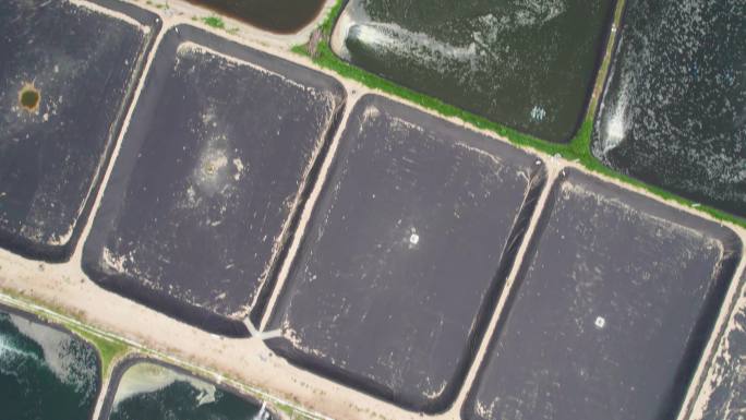 无人机长距离俯视航拍水东水产养殖