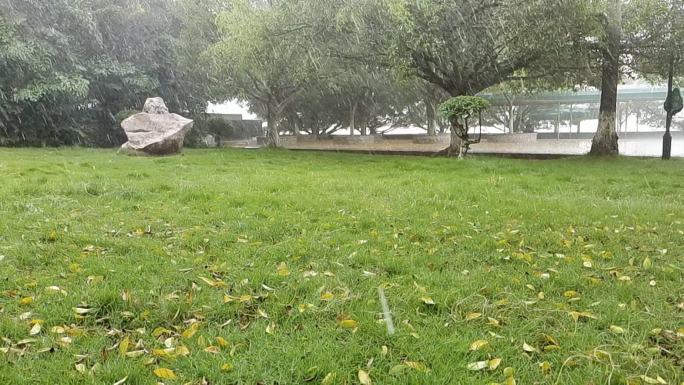 草地绿树雨景雨水梦幻雨冰雹素材叶夹落叶