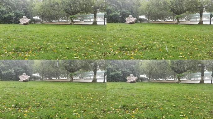 草地绿树雨景雨水梦幻雨冰雹素材叶夹落叶