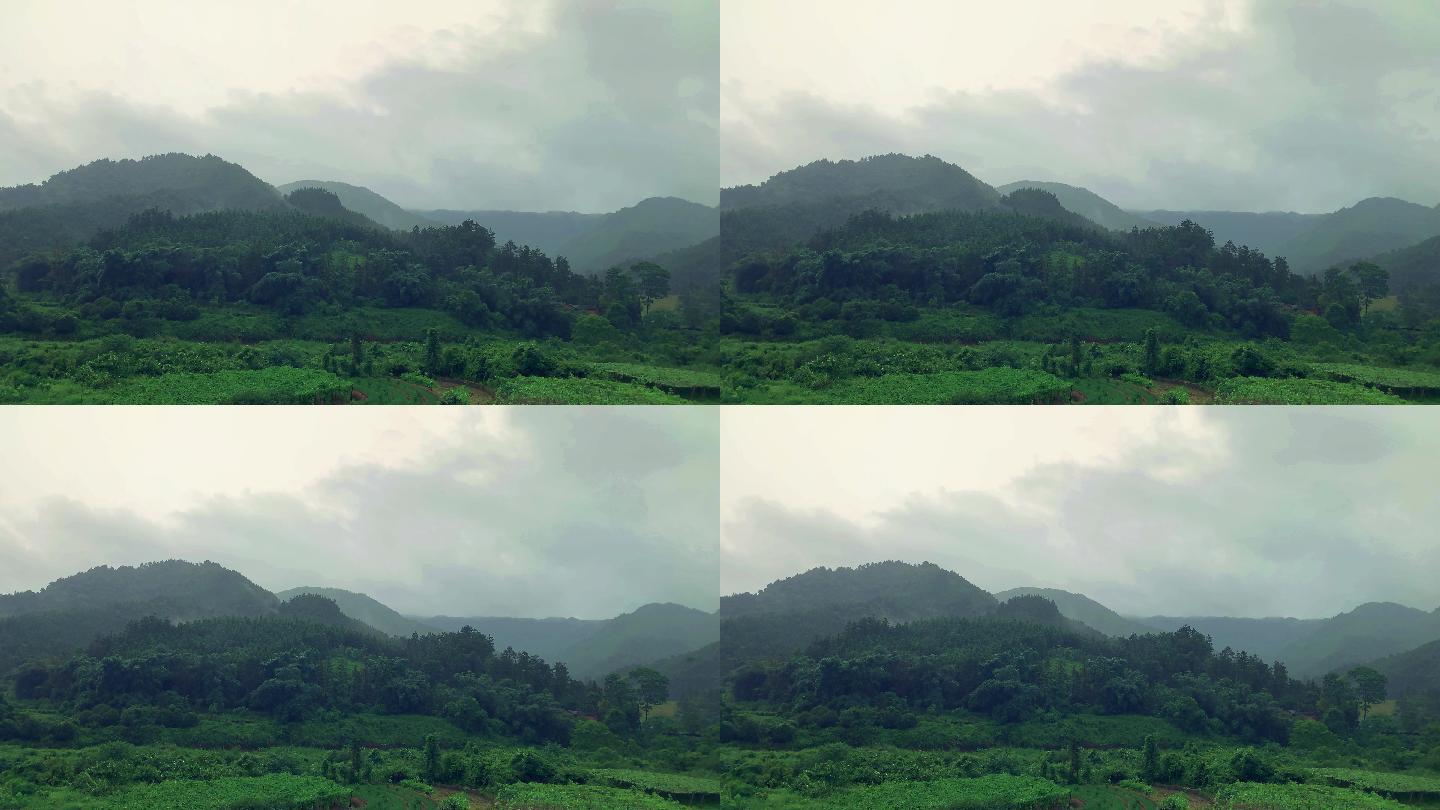 山里下雨风景