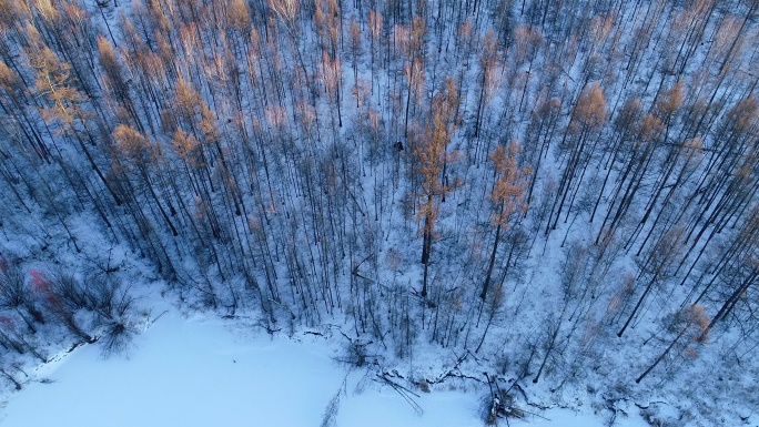 航拍雪原冰封河流树林
