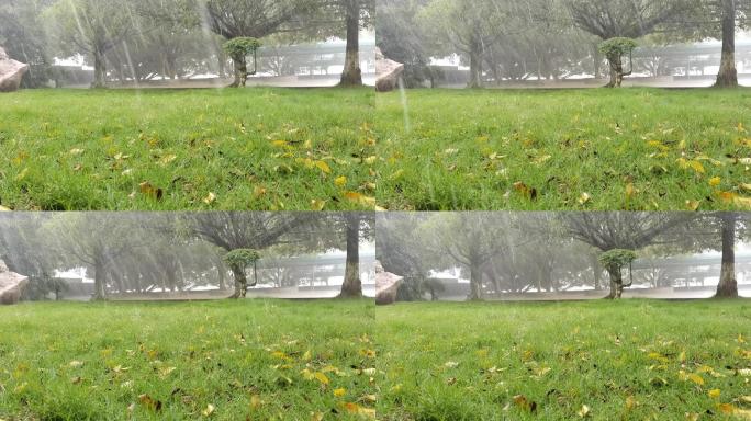 草地黄叶绿树雨景雨水雨滴伤感下雨视频素材