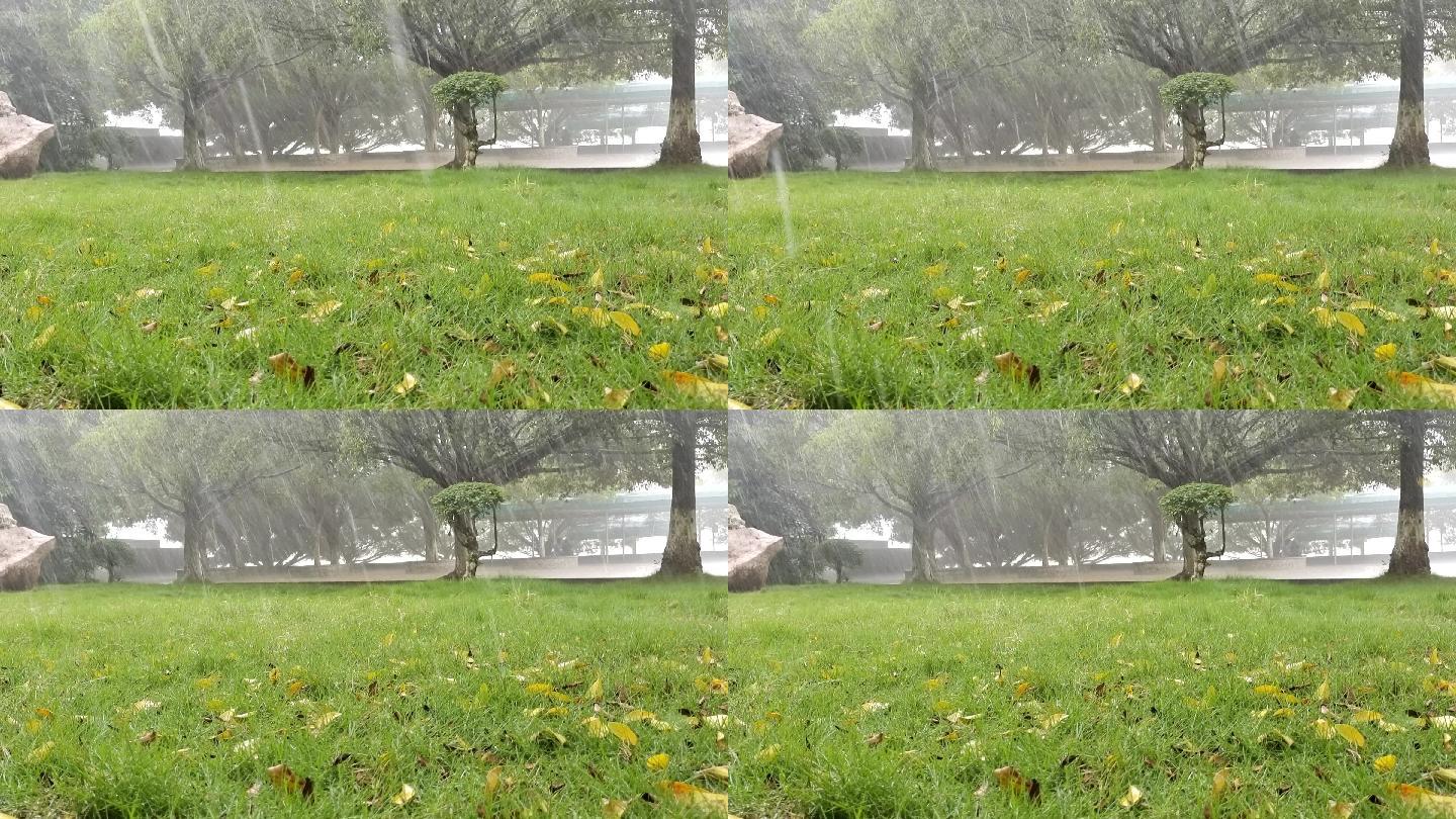 草地黄叶绿树雨景雨水雨滴伤感下雨视频素材