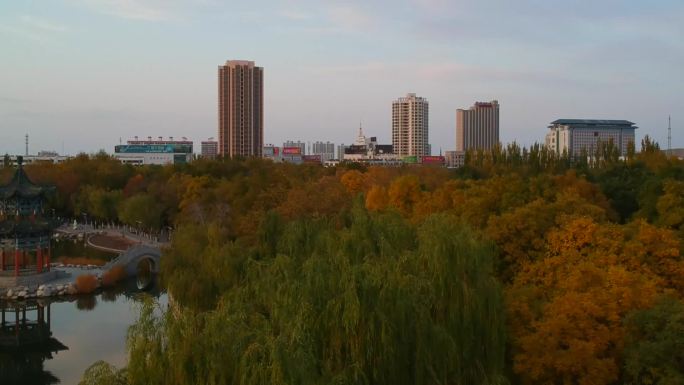 城市秋天金昌金秋秋天唯美金秋时间的街道