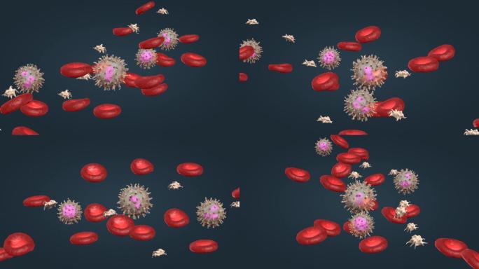 三维血液 红细胞 白细胞 血小板动画