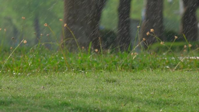 下雨