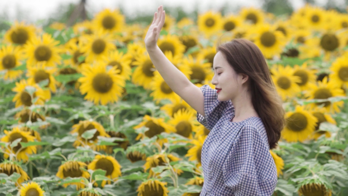 年轻女子在向日葵花海中