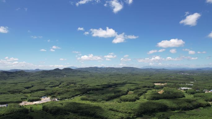 海南热带雨林国家森林公园空镜头素材