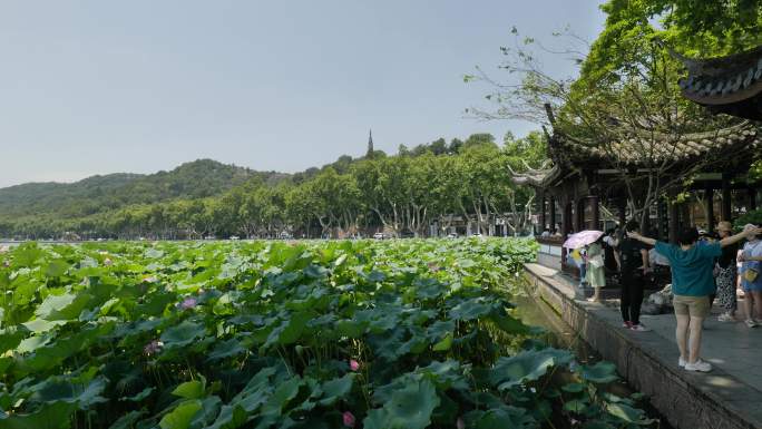 杭州西湖边人文景观