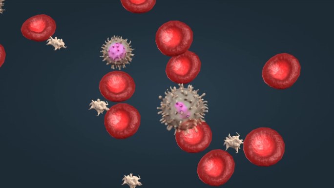 微观细胞血液 红细胞 白细胞 血小板