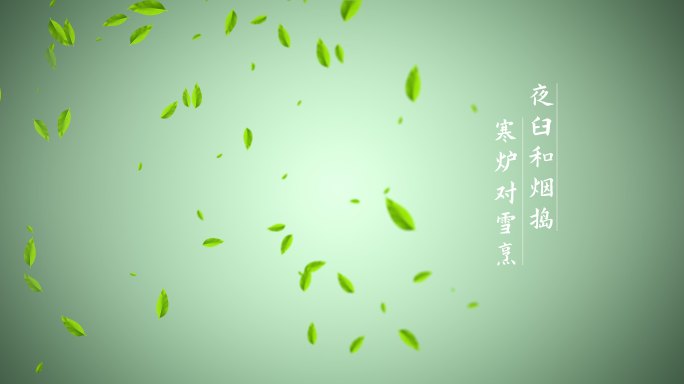 茶叶文字片头A中国古风 片头文字排版字体