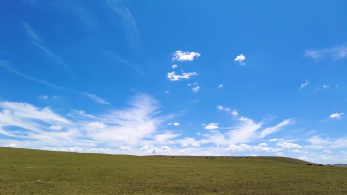 美丽的青青草原自然风光视频