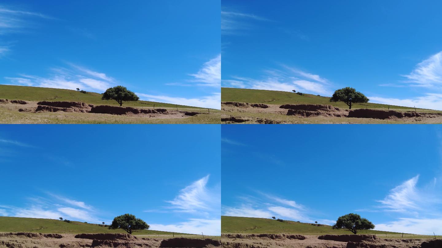 美丽的青青草原自然风光视频