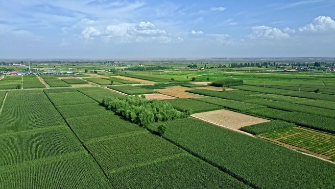 黄河平原-杂粮食农业产区2