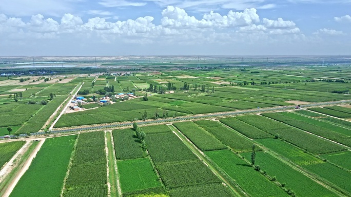 河套平原粮食农业