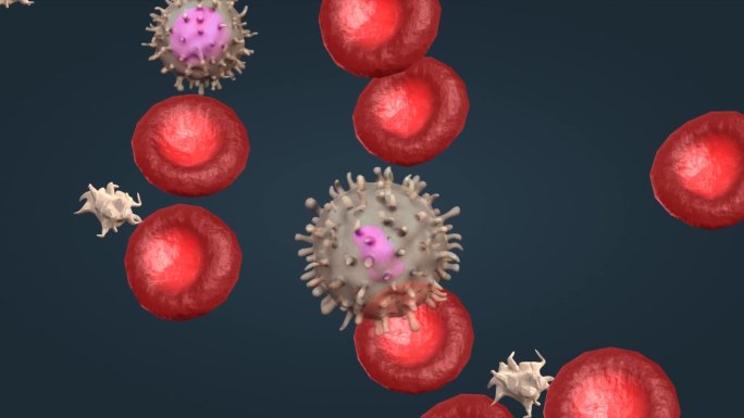 3D血液 红细胞 白细胞 血小板动画