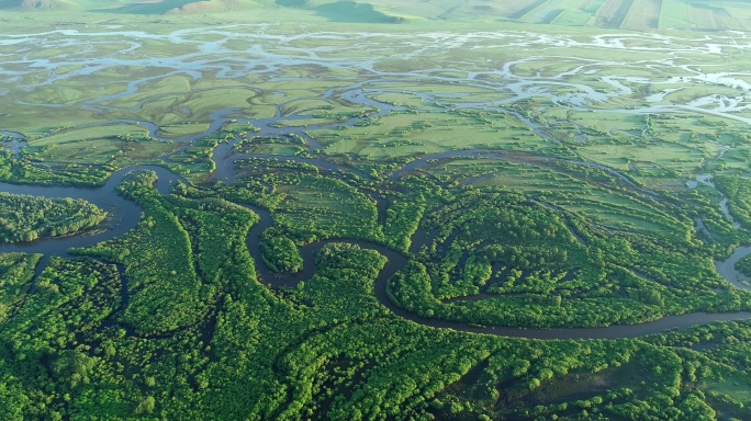 航拍内蒙古亚洲第一湿地：根河湿地