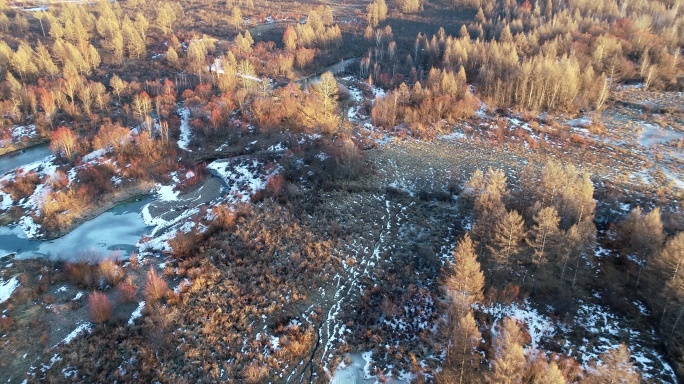 航拍大兴安岭初冬疏林湿地