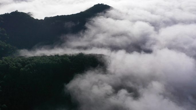 风尘 风力发电  风电素材 自然 山水