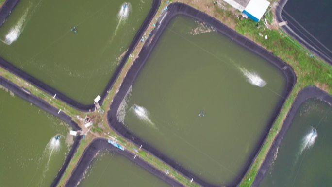 无人机鸟瞰俯视航拍壮观的水产养殖