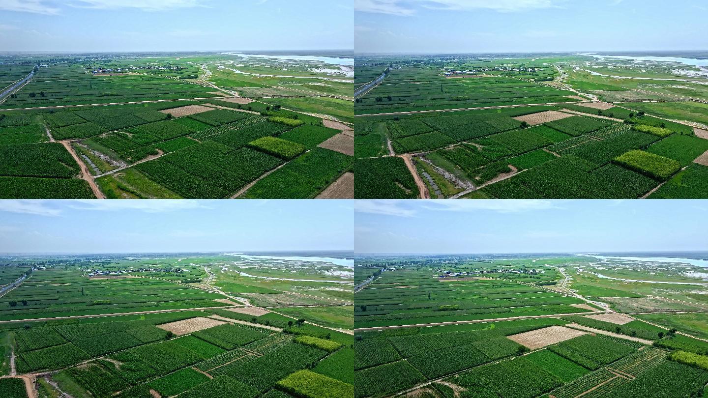 黄河粮食产区-生态建设