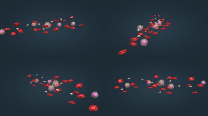 红细胞 白细胞 血小板医学微观三维动画